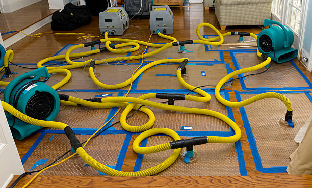 Professional Crawl Space Water Removal technician working in Huntsville, OH